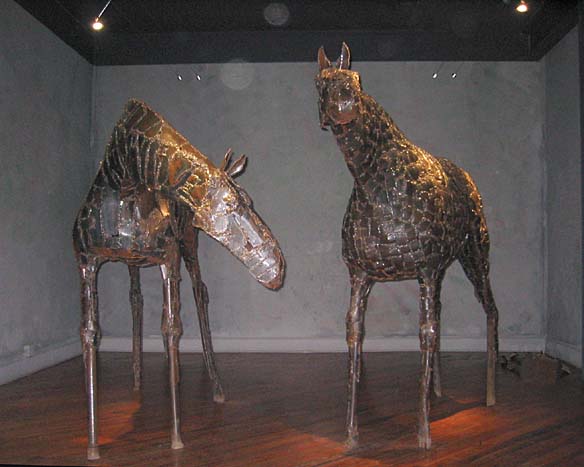 Bill Jackson - Garden Horse
